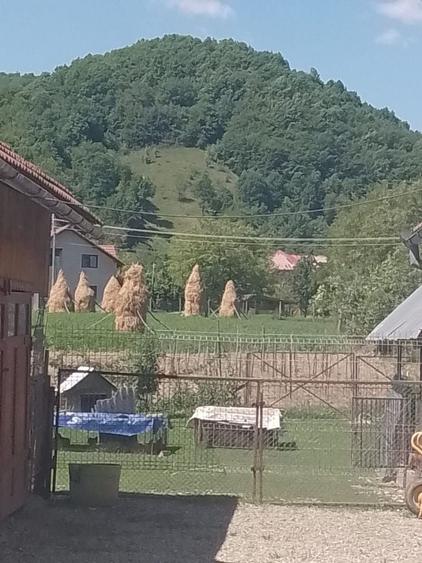 Casă cu 4 camere în Poiana Blenchii