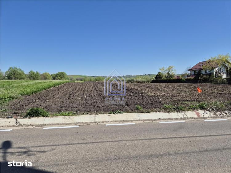 Teren de 5100 mp, în Moara