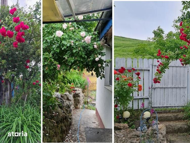 Casă cu 3 camere cu Teren 1492 Mp în Vadu Săpat