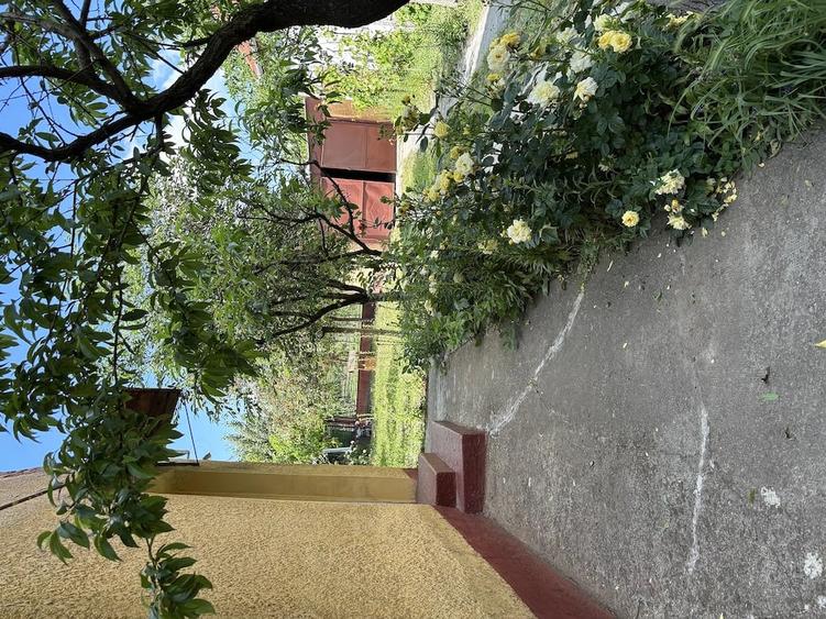 Casă cu Teren 1618 Mp în Central