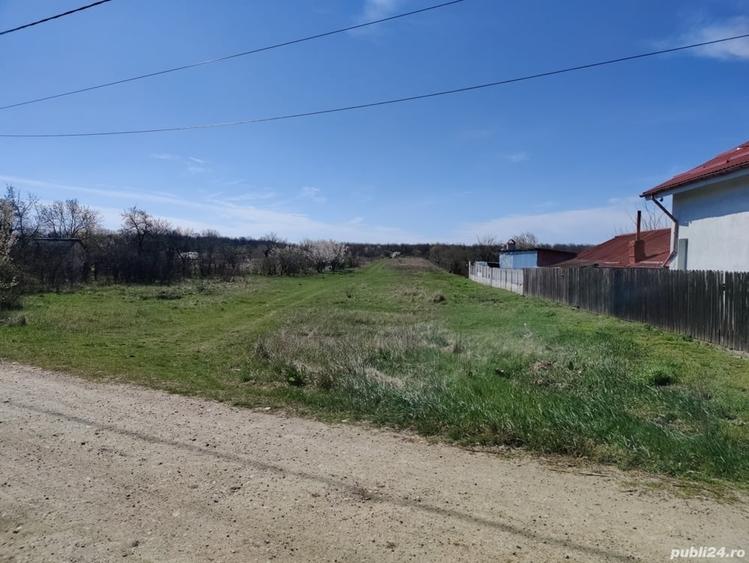 Teren de 4667 mp, în Coșoveni