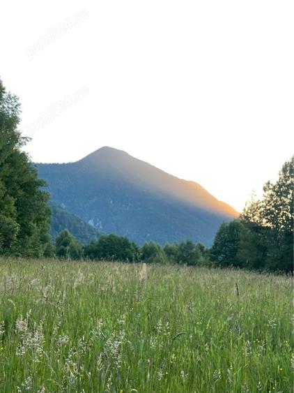 Teren de 1737 mp, în Tohănița