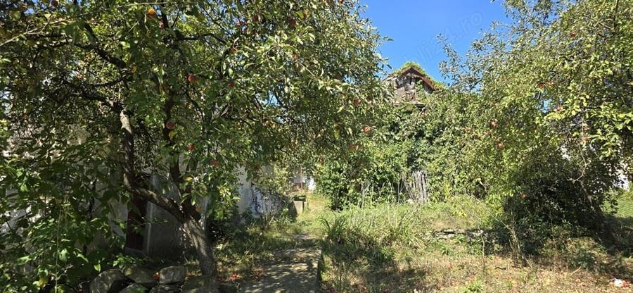 Casă cu 5 camere în Aluniș