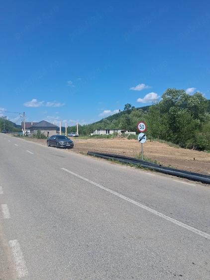 Casă cu Teren 8000 Mp în Panticeu