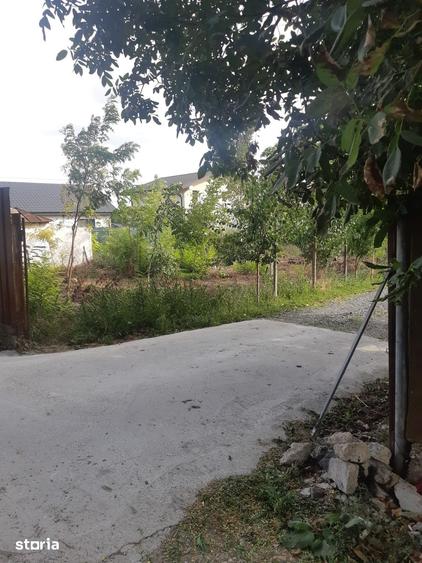 Teren de 1100 mp, în Vânători