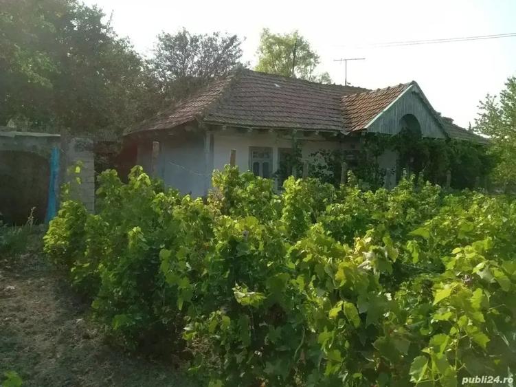 Casă cu 3 camere în Rebricea