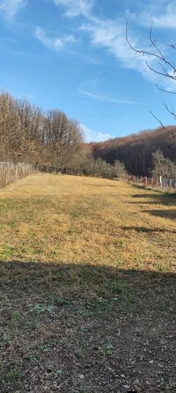 Casă cu Teren 3845 Mp în Leordeni