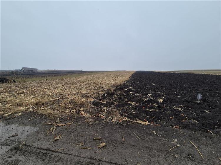 Teren agricol intravilan de 7400 mp, în Moara Carp