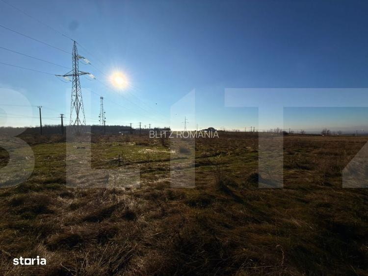 Teren extravilan, 7.000 mp, cu deschidere la drumul principal, Baisa