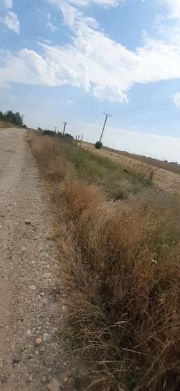 Teren Construcții intravilan de 3067 mp, în Bradu