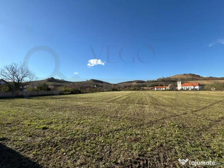 Teren de 7342 mp, în Alma