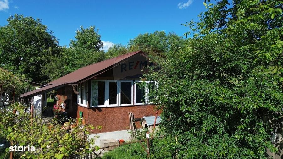 Casa de vanzare in natura la tara - Mihaesti - 18