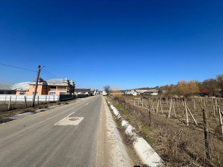Teren intravilan de 2700 mp, în Movilița