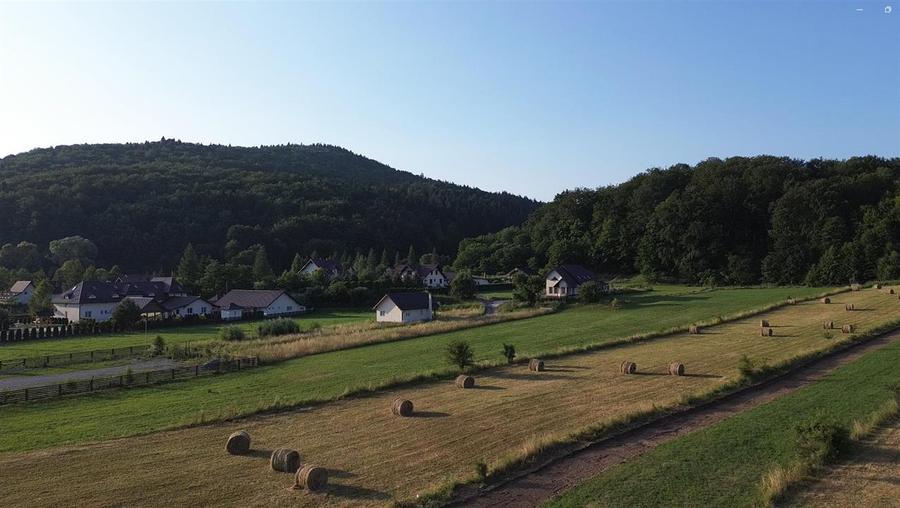 Teren Construcții extravilan de 5886 mp, în Bucșoaia