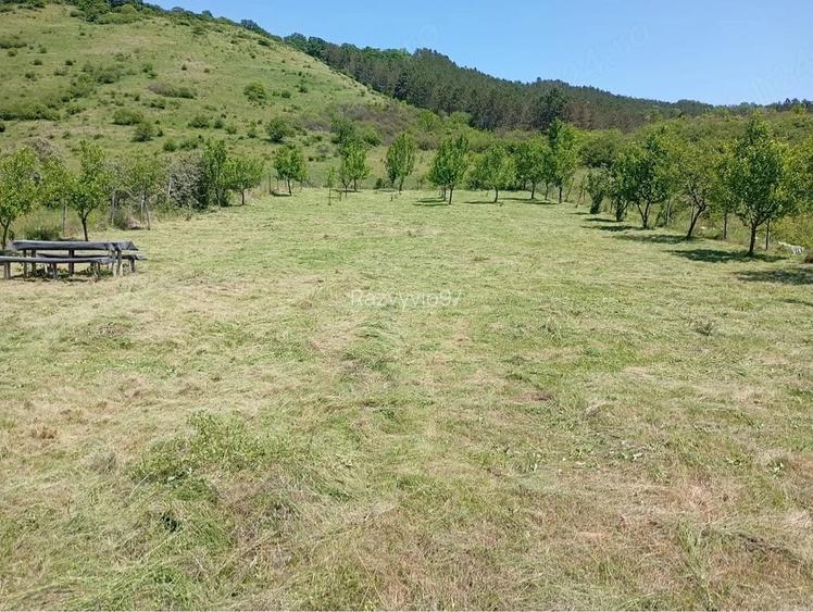 Vand teren extravilan Lacul ?aga Mare