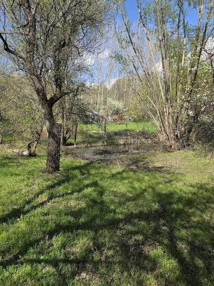 Teren de 5100 mp, în Runcu