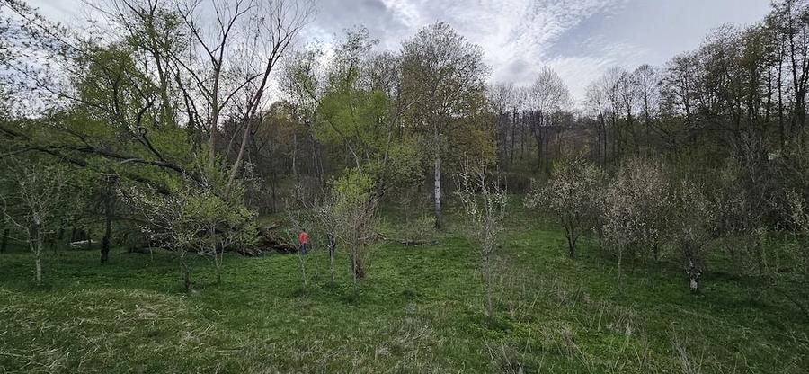 Teren de 3320 mp, în Provița de Sus