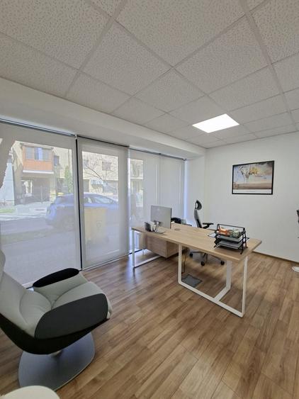 Birou, de 160.19000244141 mp, în Elisabetin