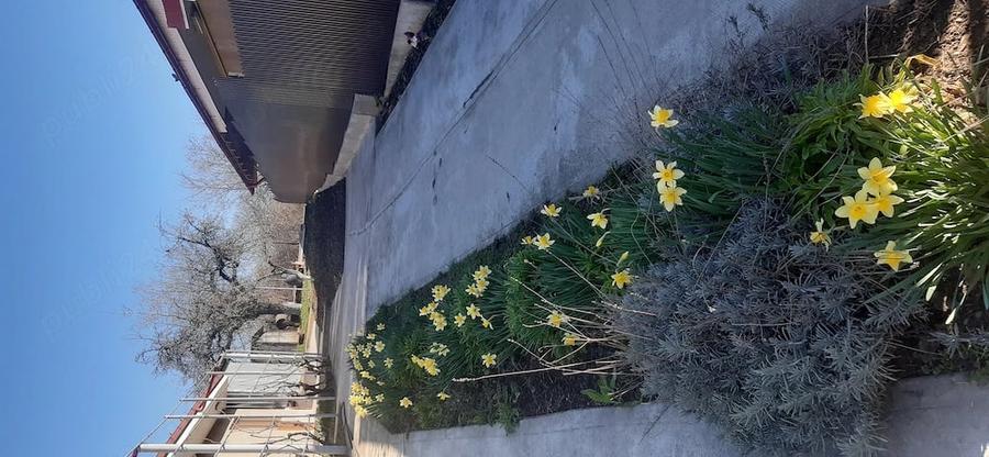 Casă cu 4 camere cu Teren 800 Mp în Central
