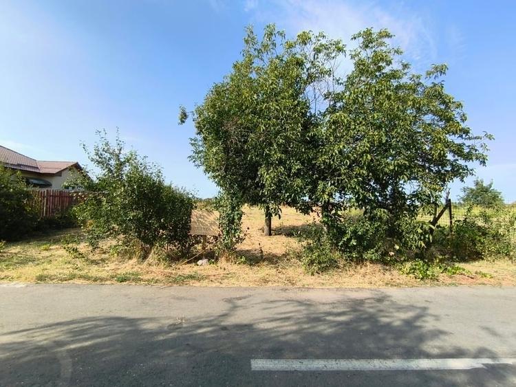 Teren Construcții intravilan de 1000 mp, în Cârcea