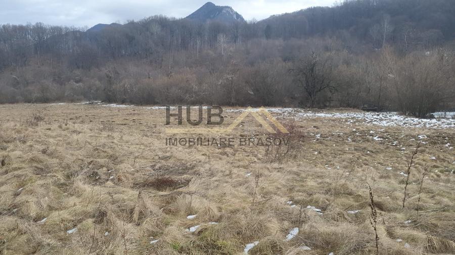 Teren agricol extravilan de 10035 mp, în Cheile Râșnoavei