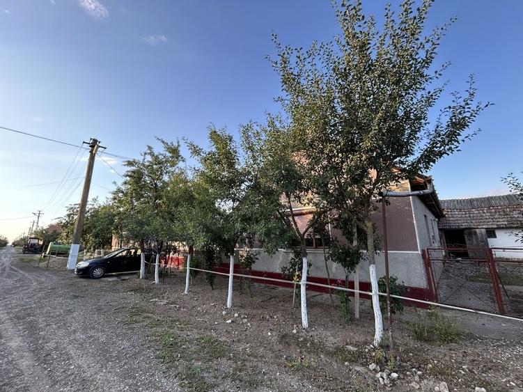 Casă cu 4 camere în Țipar