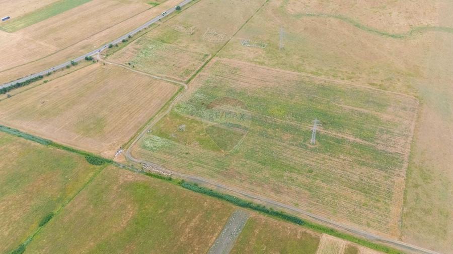 Teren agricol extravilan de 41025 mp, în Periferie