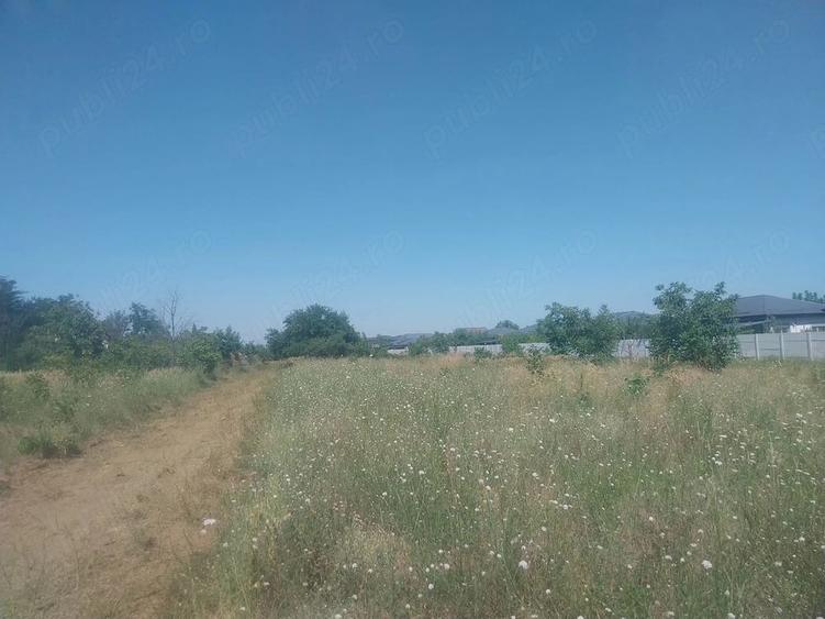 Teren de 450 mp, în Domnești