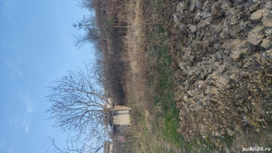 Teren de 14251 mp, în Podgoria