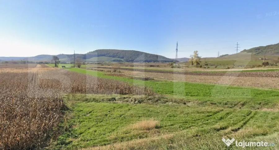Oportunitate! 59 ari teren agricol la doar 13.000 - 2