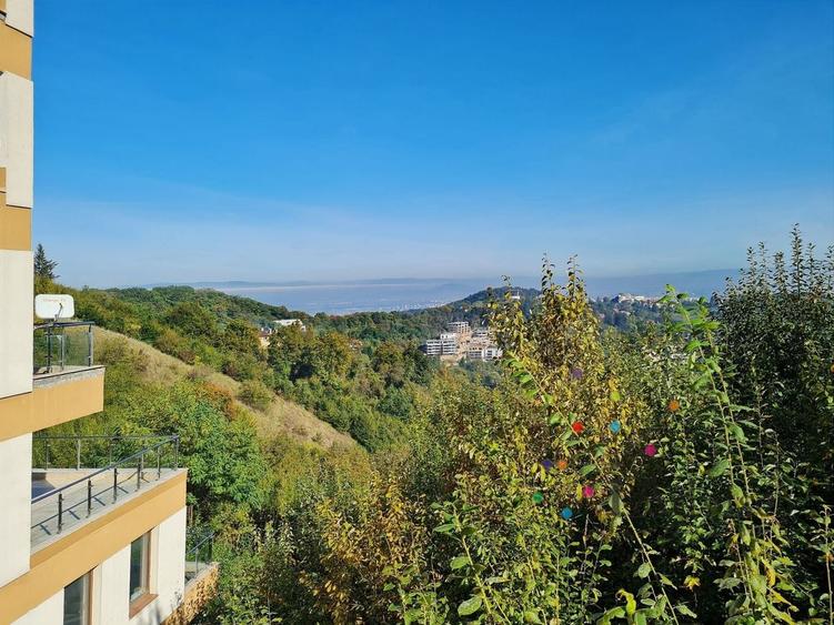 Teren Construcții intravilan de 16650 mp, în Drumul Poienii