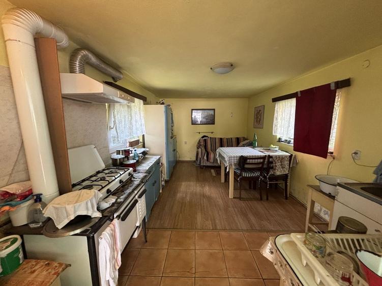 Casă individuală de vânzare în Turnișor | Curte superbă 585 mp - 35