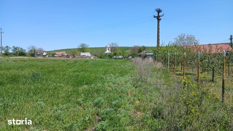 De vanzare casa ?i teren cu o suprafata de 5914 mp, 25.000 euro - 7