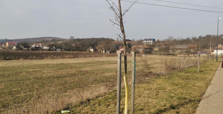 Teren Construcții extravilan de 1500 mp, în Băbuțiu