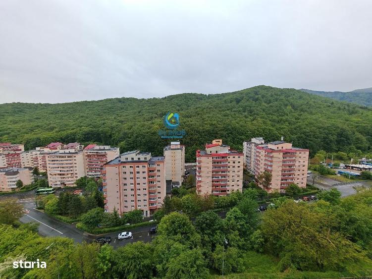 Apartament cu 2 camere, mobilat în Valea Cetății