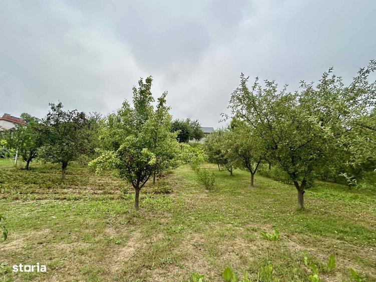 Casă cu 3 camere în Chicerea