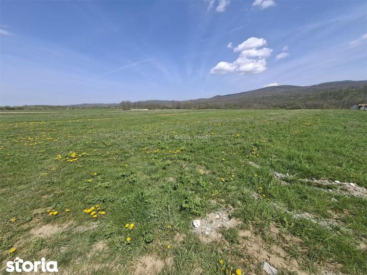 Teren de 500 mp, în Valea Aurie