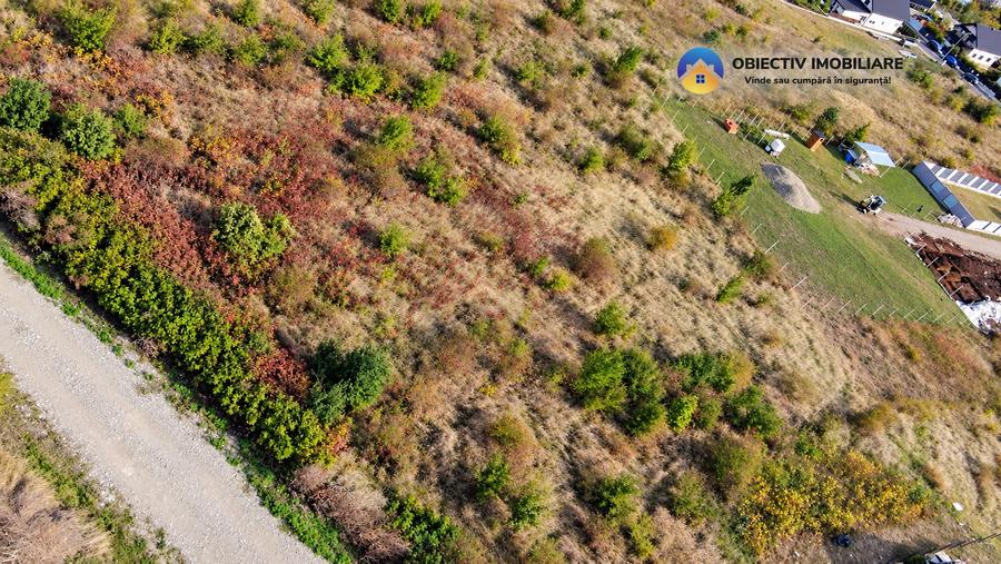Teren intravilan de 1297 mp, în Ciritei