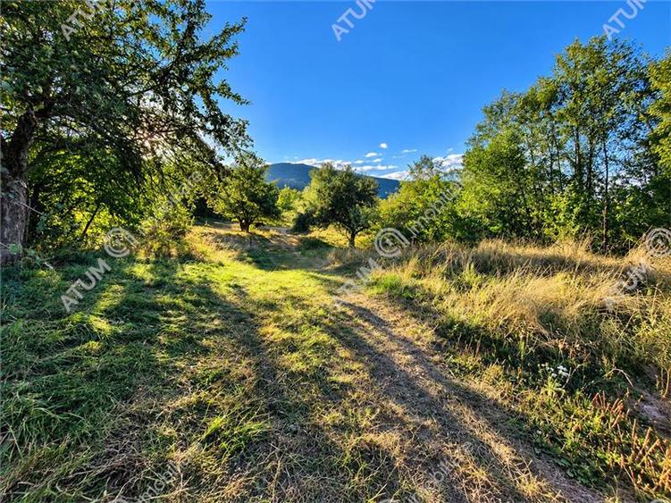 Teren extravilan de 1200 mp, în Sibiel