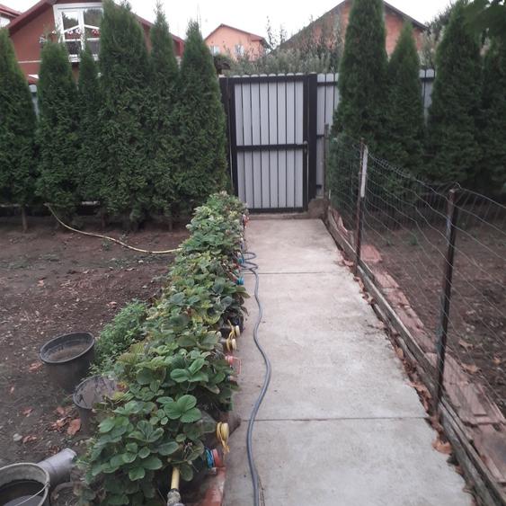 Casă cu 4 camere în Rediu