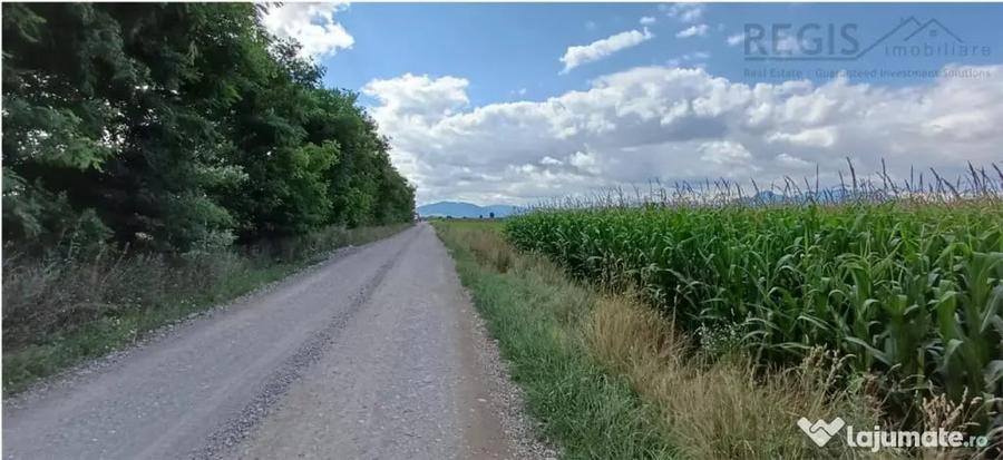 Teren în Hărman
