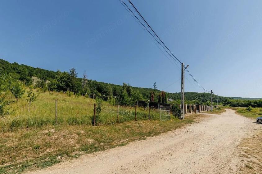 Teren intravilan ?tefane?ti Valea Mare Podgoria - 1