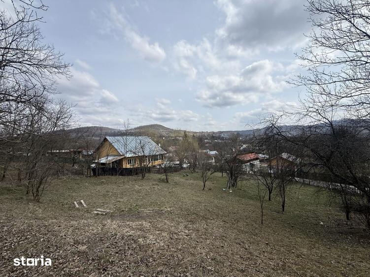 Teren de 6040 mp, în Provița de Jos