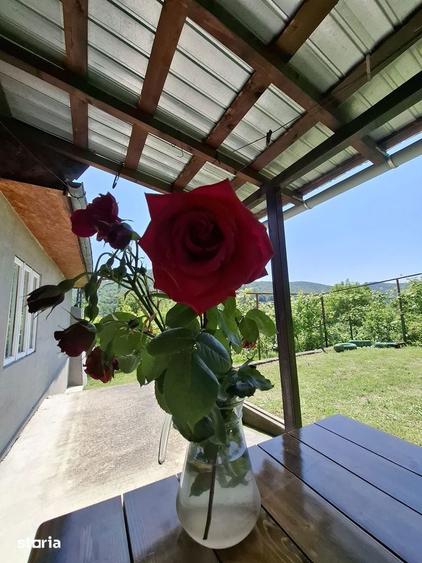 Casa de vacan?a cu teren, zona submontana, aproape de Valenii de Munte - 14
