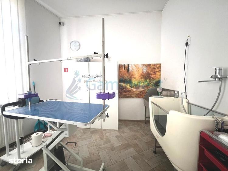 Spatiu comercial in Oradea cu echipament coafura canina GaminvestA2699 - 7