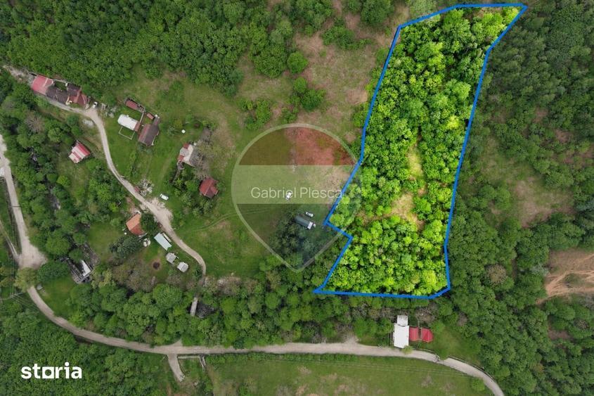 Teren intravilan, 6700 mp, Curent, Zona populata, Apuseni, zona Boga