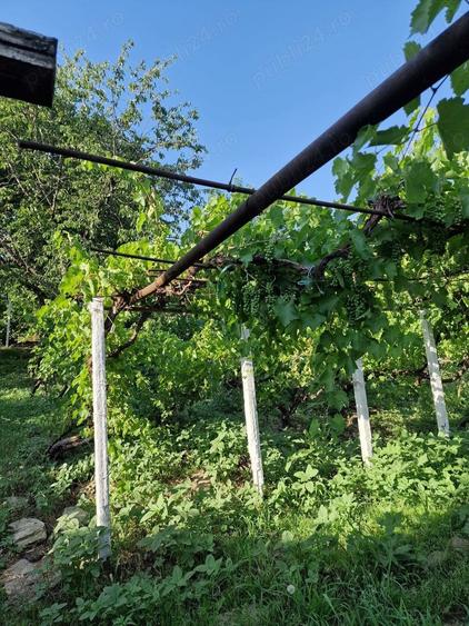 Casă cu 2 camere în Cozia