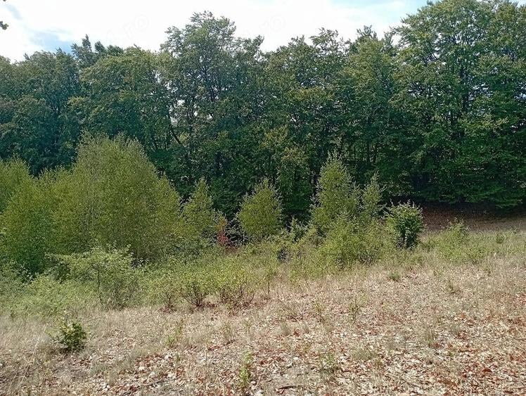 Teren de 3500 mp, în Valea Babei