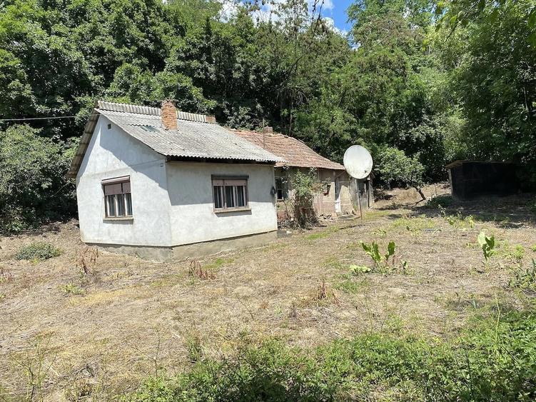 Casă cu Teren 1323 Mp în Central