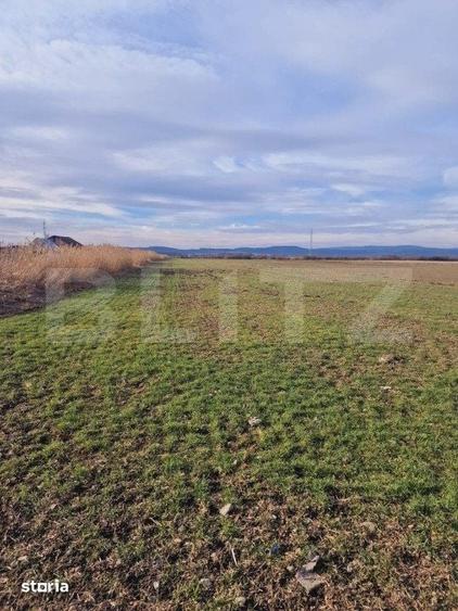 Teren de 8700 mp, în Prejmer